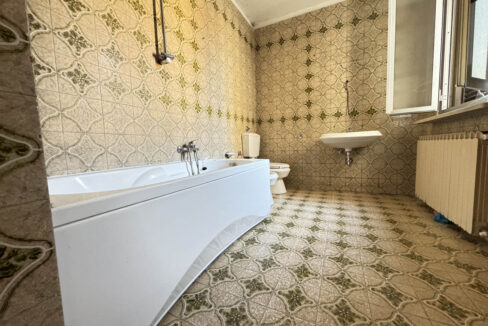 IMG_6399